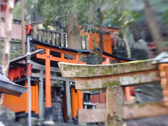 Vermillion torii gates at the Fushimi Inari Shrine