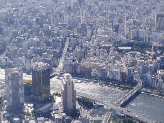 Image of Tokyo, Japan cityscape from the top of the Tokyo SkyTree tower.