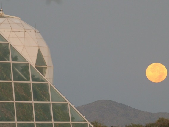 Biosphere II with moon