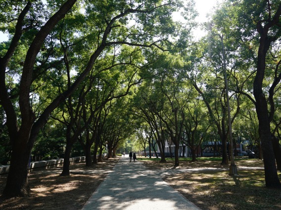 Tunghai University Garden
